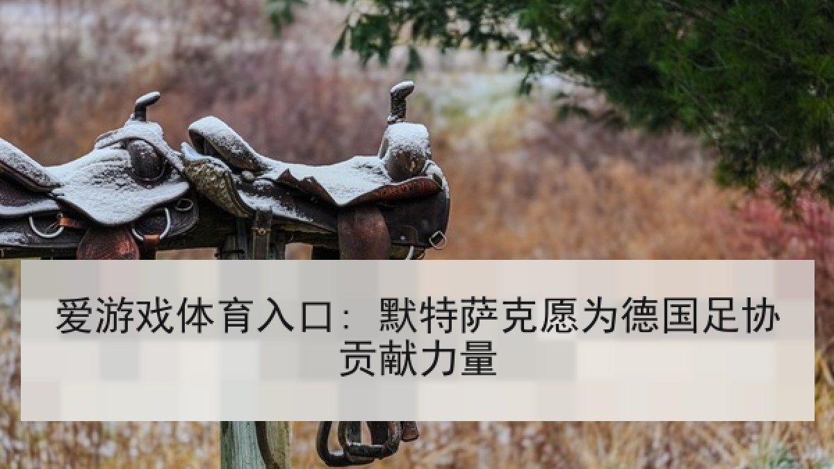 爱游戏体育入口: 默特萨克愿为德国足协贡献力量