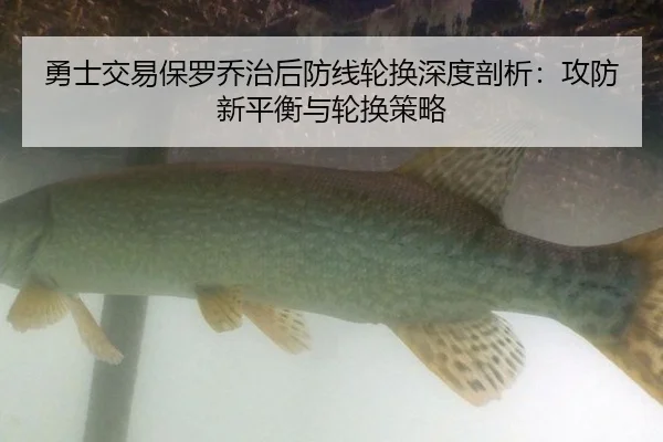 yong-shi-jiao-yi-bao-luo-qiao-zhi-hou-fang-xian-lun-huan-shen-du-pou-xi-gong-fang-xin-ping-heng-yu-lun-huan-ce-lve-3-955.jpg